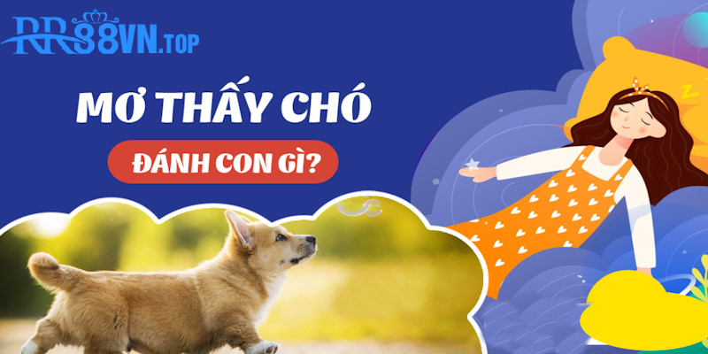 bảng số đề con vật mơ thấy chó