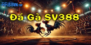 đá gà Sv388