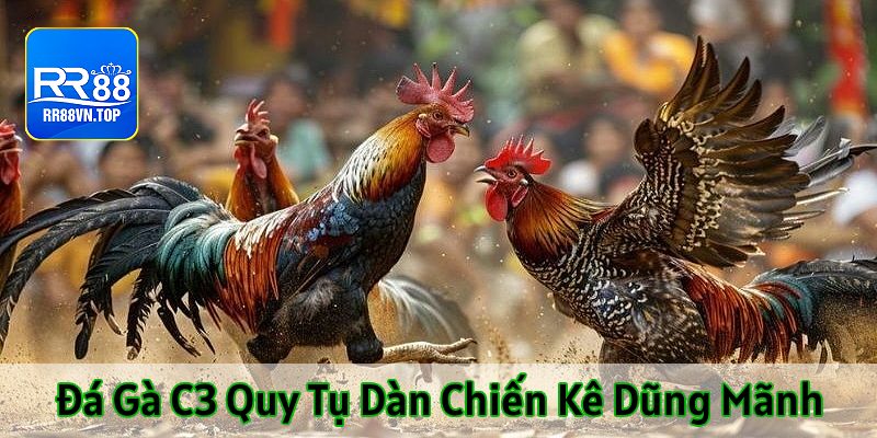 đá gà trực tiếp c3 chiến kê dũng mãnh